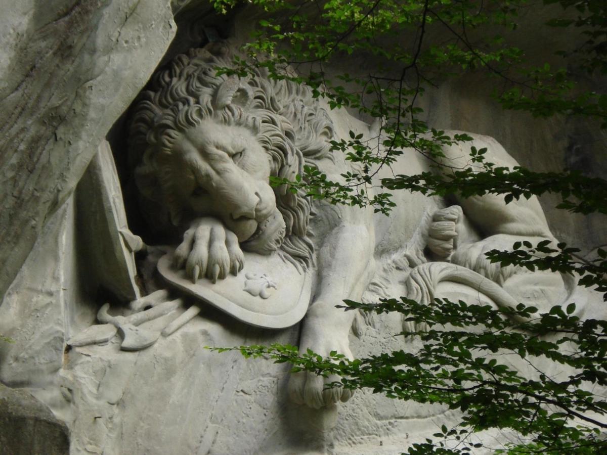 بيت الشباب Lion Lodge Luzern المظهر الخارجي الصورة
